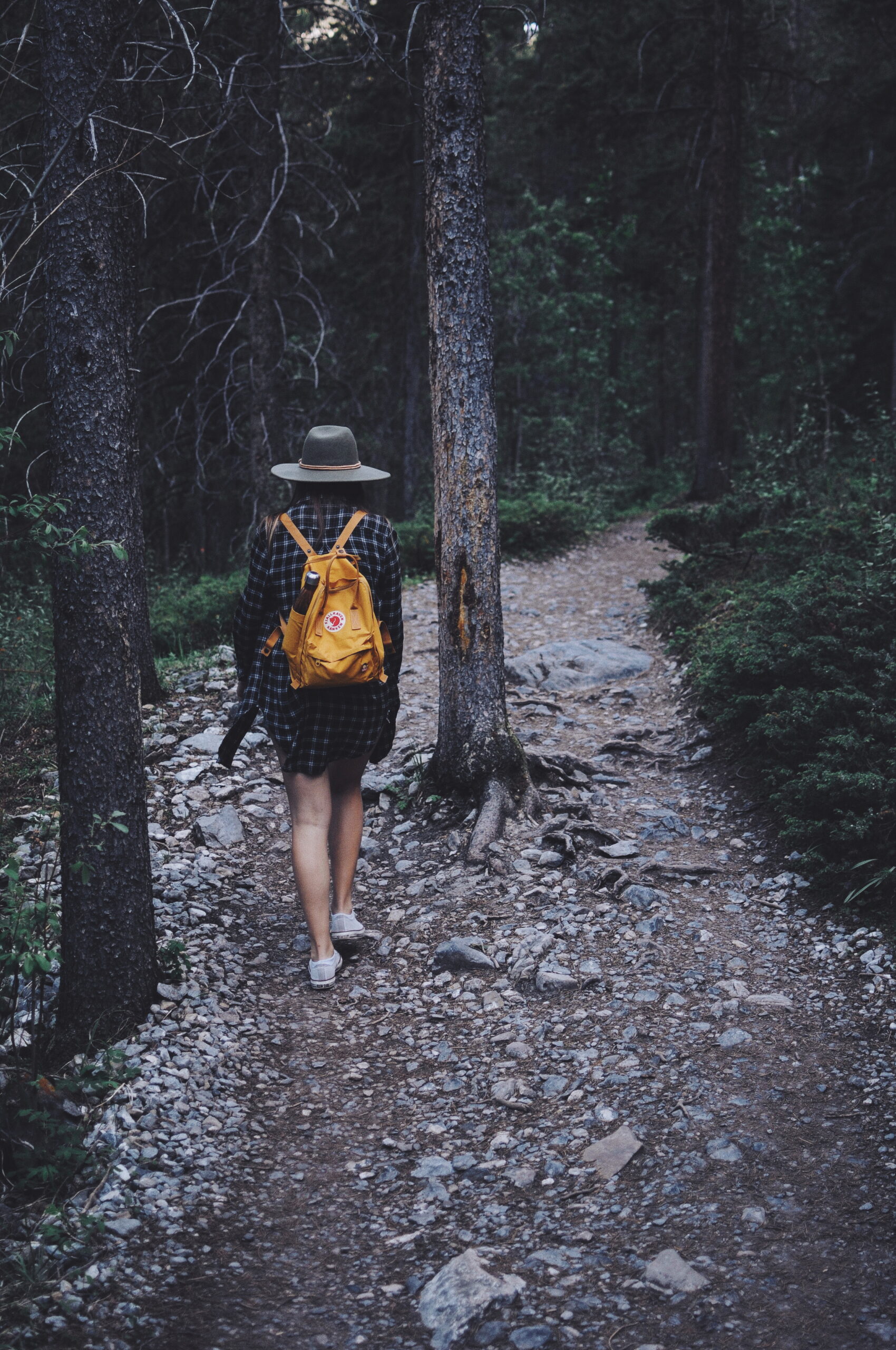 Pessoas caminhando em trilha de floresta
