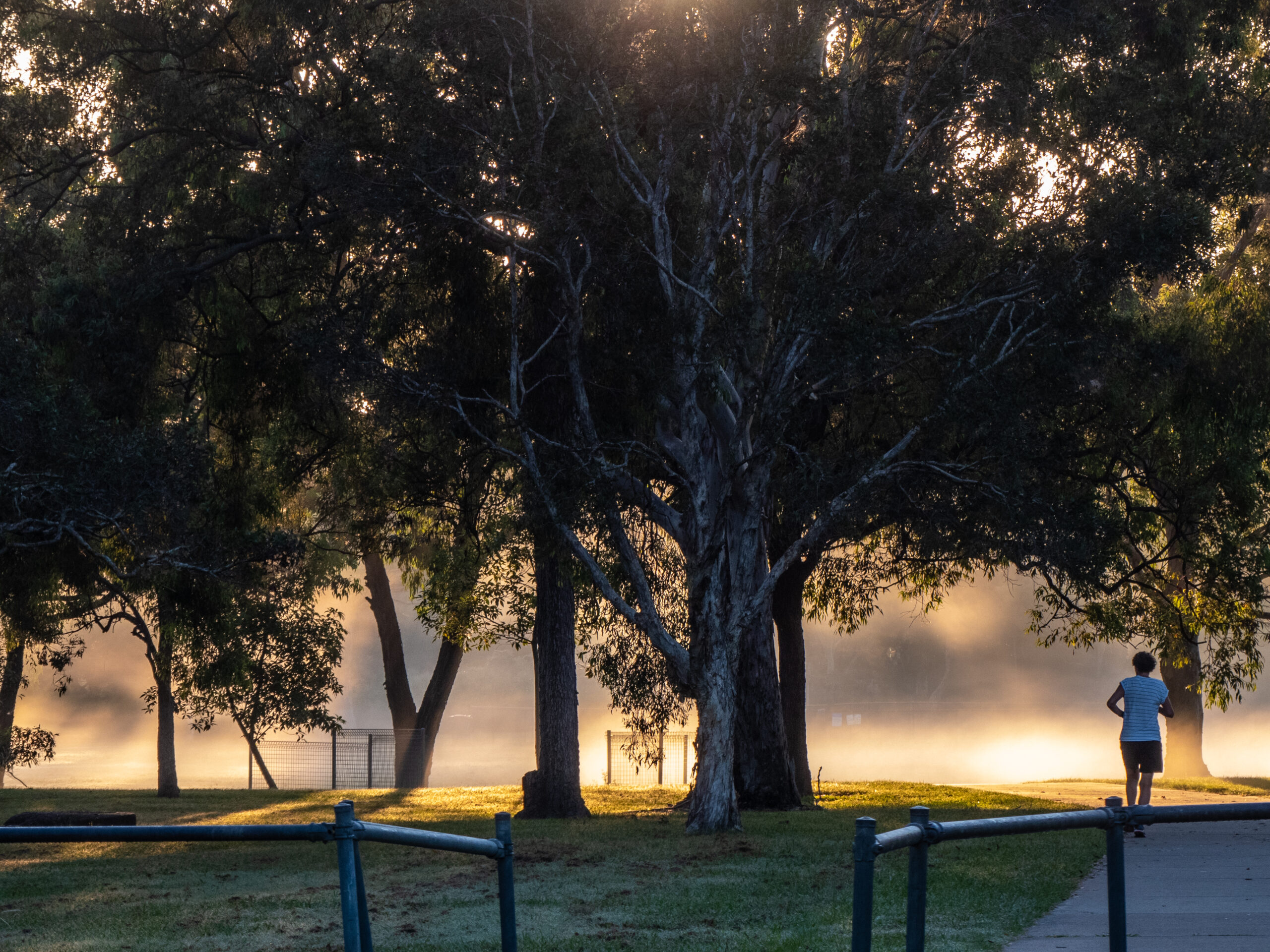 Pessoa correndo em parque com neblina ao amanhecer